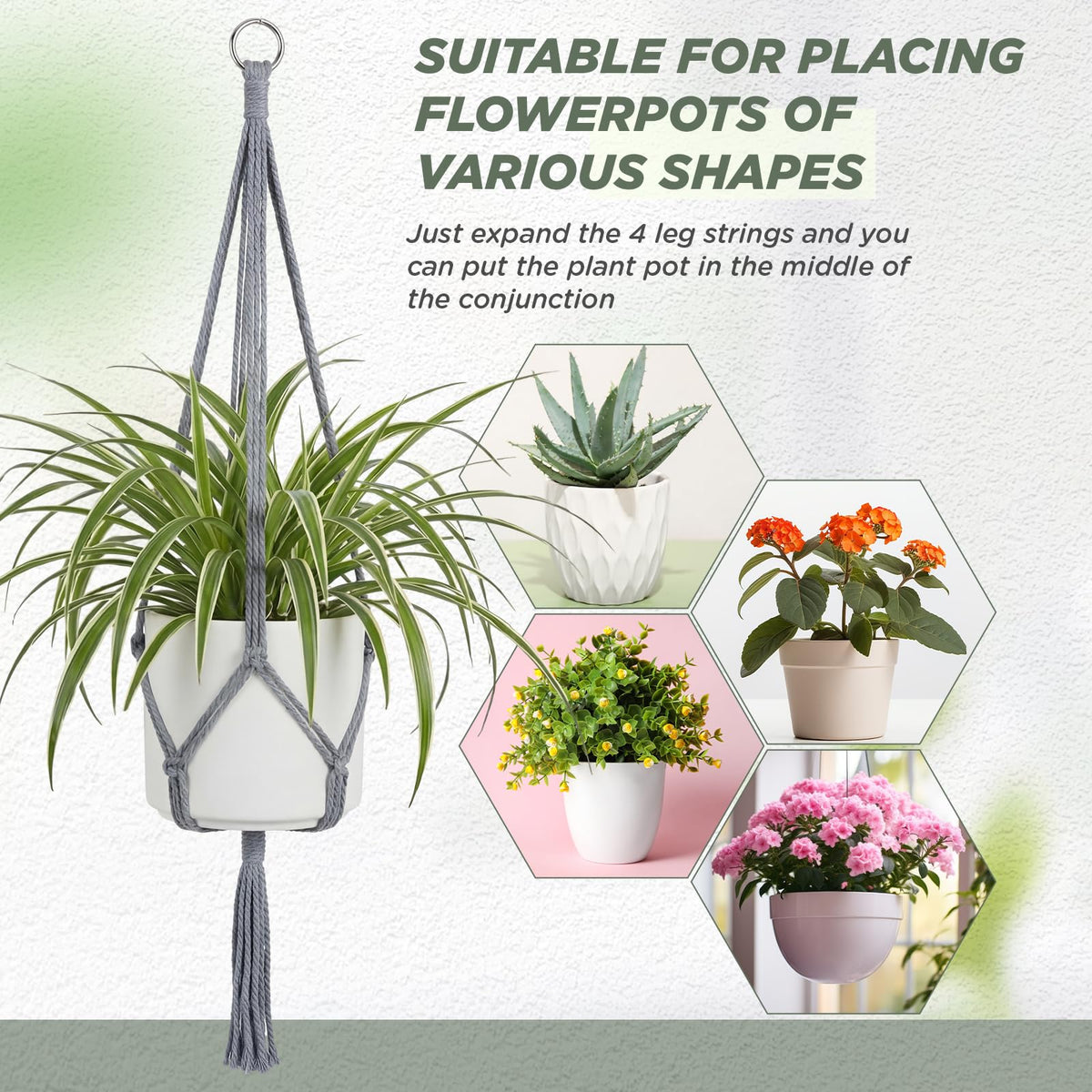 EBOOT scalable design fits multiple pot sizes for flexible decorating.