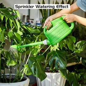 Ebristar green plastic body for indoor and outdoor use