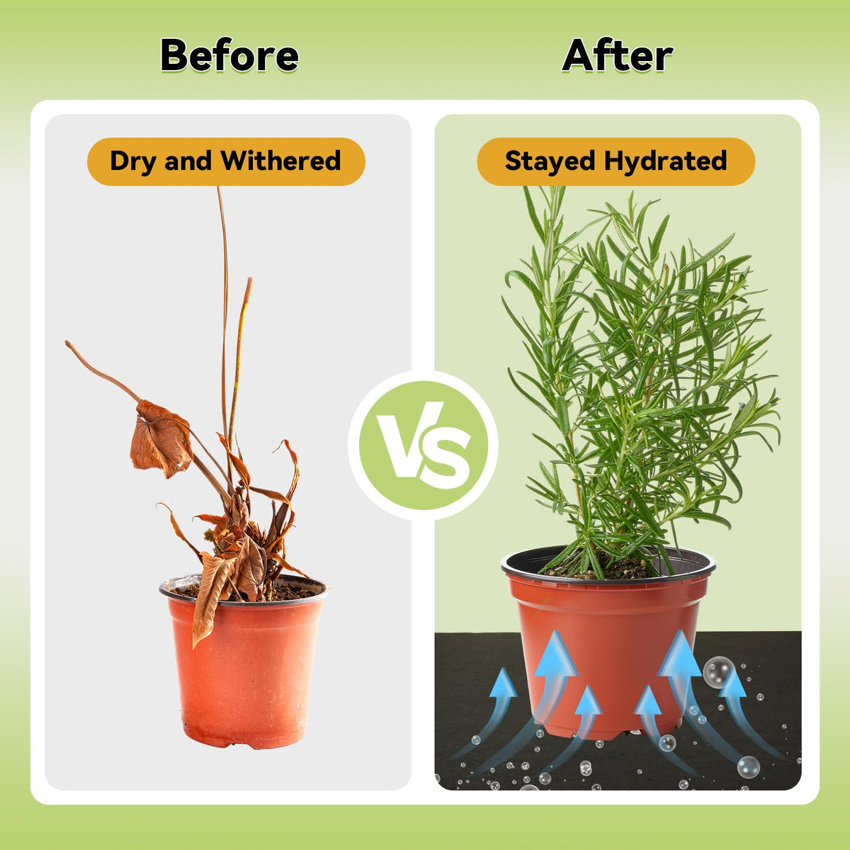 ECcandiedhaws capillary mat in greenhouse setup for consistent moisture