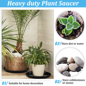 Eccliy decorative display tray, versatile for jewelry or serving uses when not used for plants.