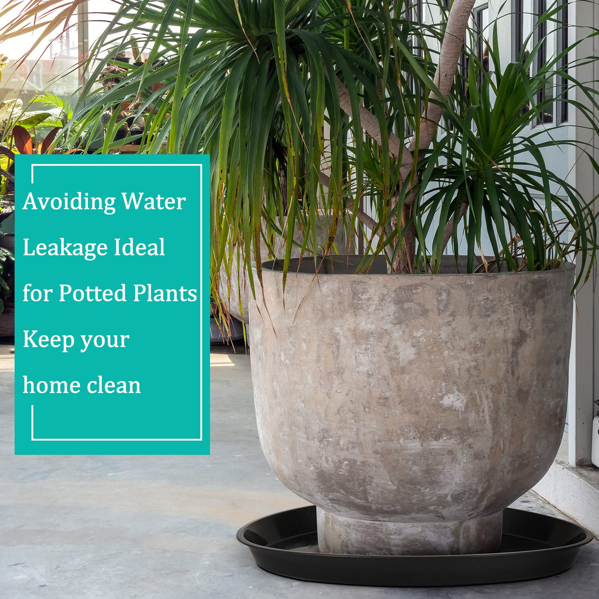 Eccliy garden and indoor use with 23-inch saucer for various pots