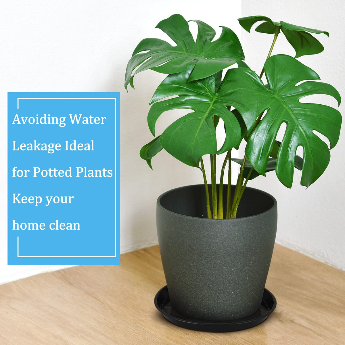 Eccliy garden-ready saucer suitable for yards, patios, and balcony setups.