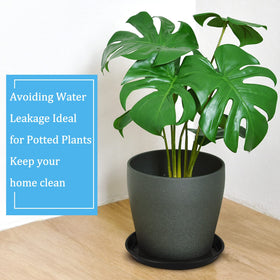Eccliy garden-ready saucer suitable for yards, patios, and balcony setups.