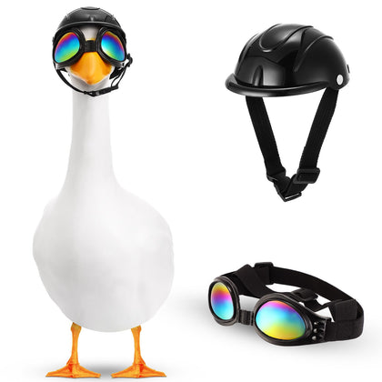 Eccliy goose helmet on display adds a modern touch to lawn decor
