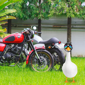 Includes helmet and goggles for easy yard decor setup