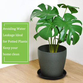 Eccliy indoor-outdoor plant tray for decor and practicality.