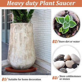 Eccliy terracotta-tone saucer complements planters while shielding surfaces