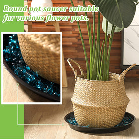 Eccliy multiuse saucer doubles as display or serving tray.