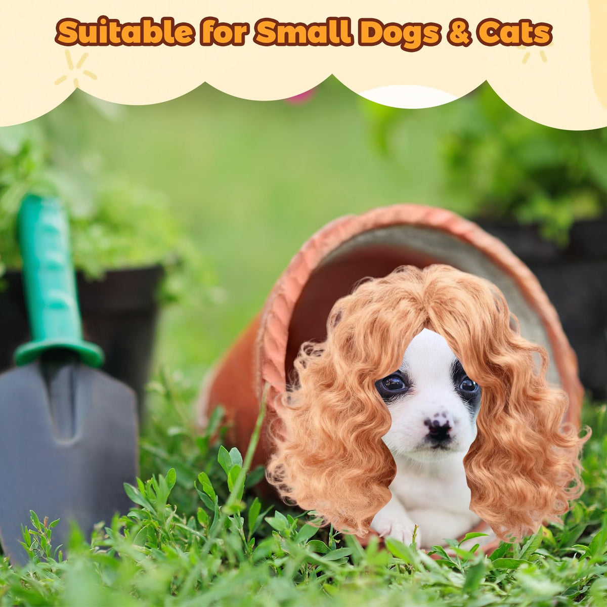 Eccliy braided wig in voluminous style enhances statue displays and pets.