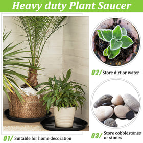 Eccliy saucer on windowsill for indoor or outdoor décor.