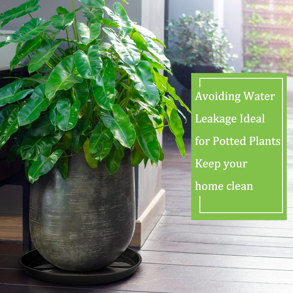 Eccliy thick PP material tray protects floors and furniture from water.