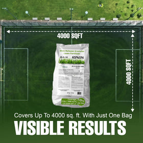 Eco Solutions pet-safe lawn fertilizer shown in a yard setting near kids.