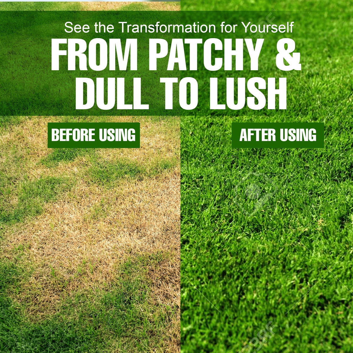 Eco Solutions spring lawn care visual showing lush green growth.