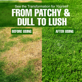 Eco Solutions spring lawn care visual showing lush green growth.