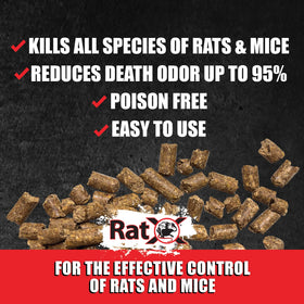 EcoClear RatX ready-trays peel-and-place tray for easy DIY pest control