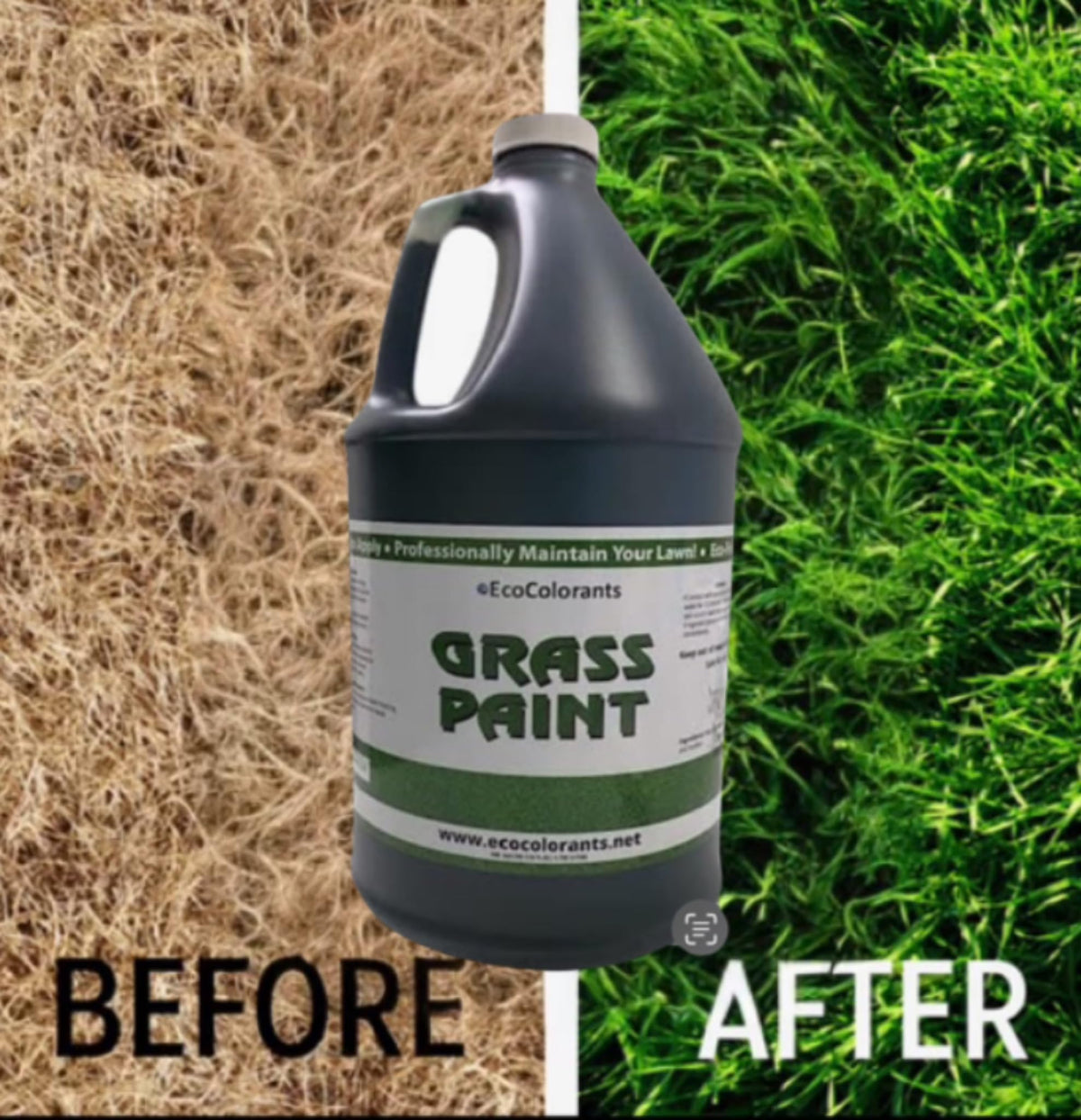 EcoColorants Green Grass Paint refreshing dormant grass for revival look