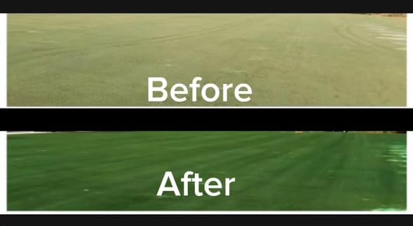 EcoColorants Green Grass Paint with roller application for smooth lawn coverage