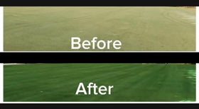 EcoColorants Green Grass Paint with roller application for smooth lawn coverage
