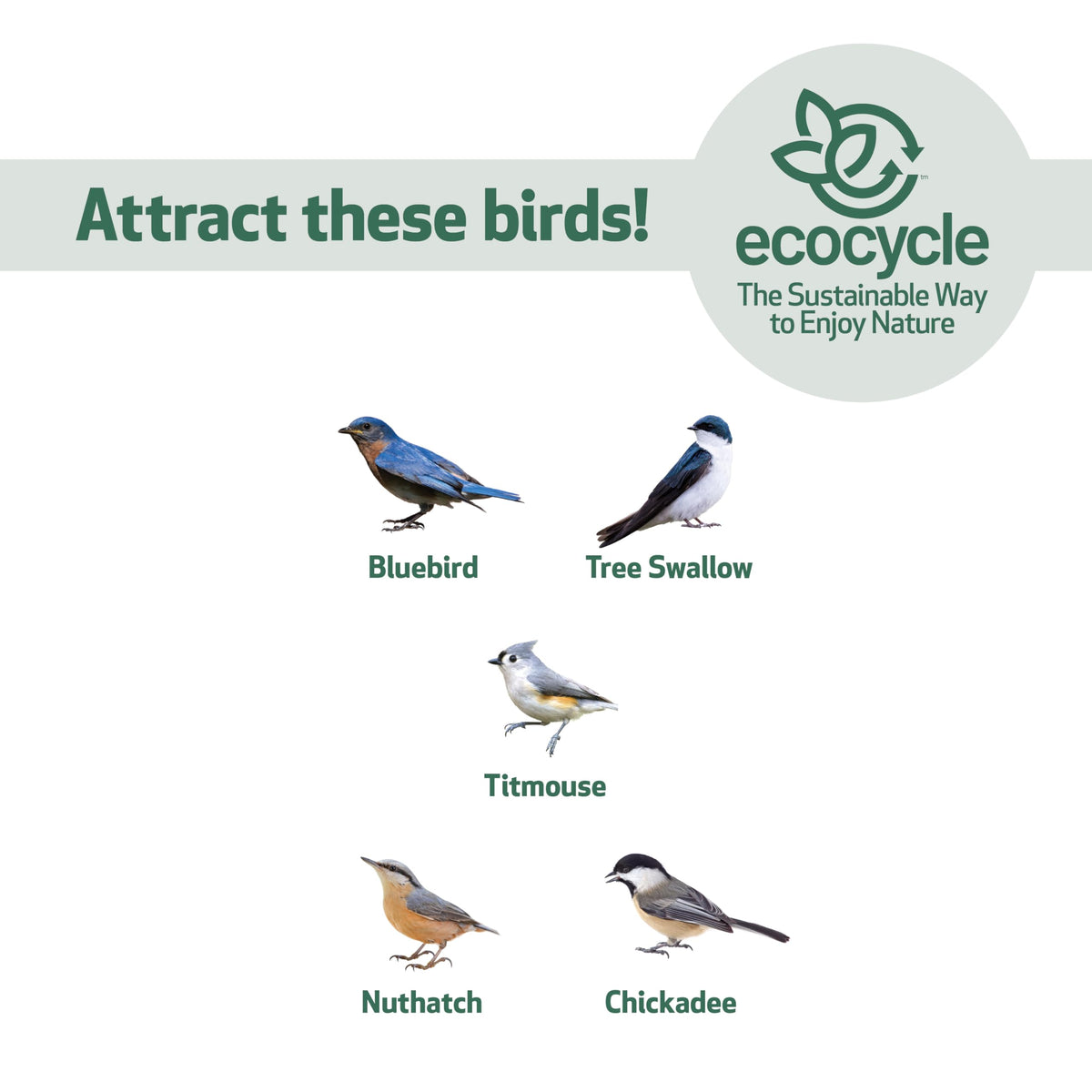 Close-up of recycled plastic construction from EcoCycle Bluebird Bungalow