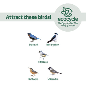 Close-up of recycled plastic construction from EcoCycle Bluebird Bungalow