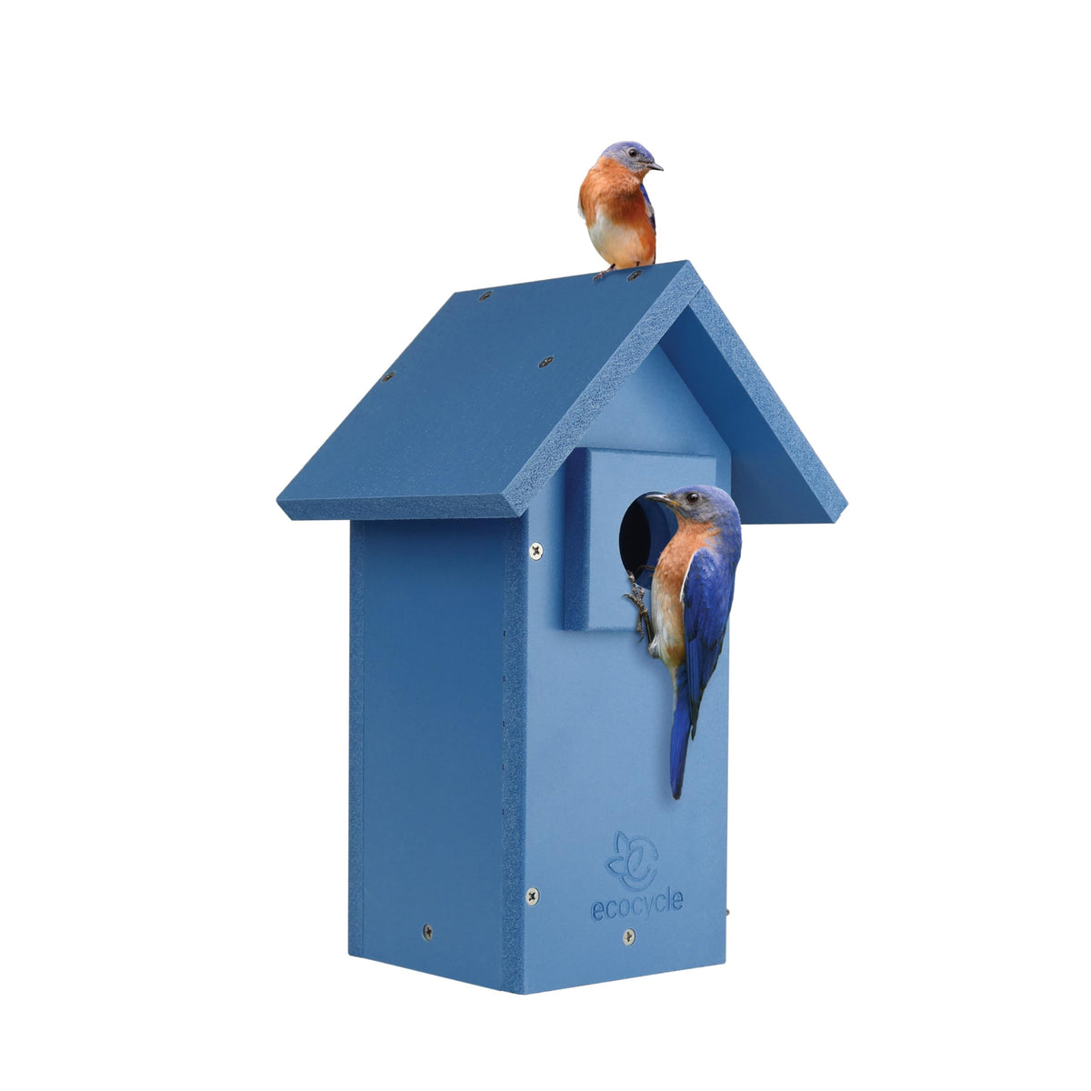 EcoCycle Bluebird Bungalow with predator guard protects nesting bluebirds