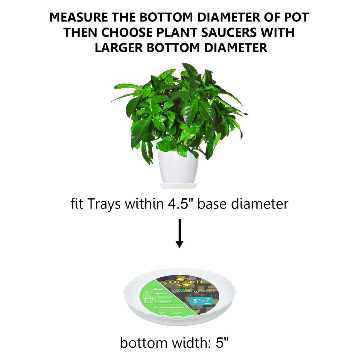 ECOESPTI plant saucer with thick walls provides durable support.