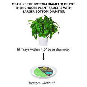 ECOESPTI plant saucer with thick walls provides durable support.