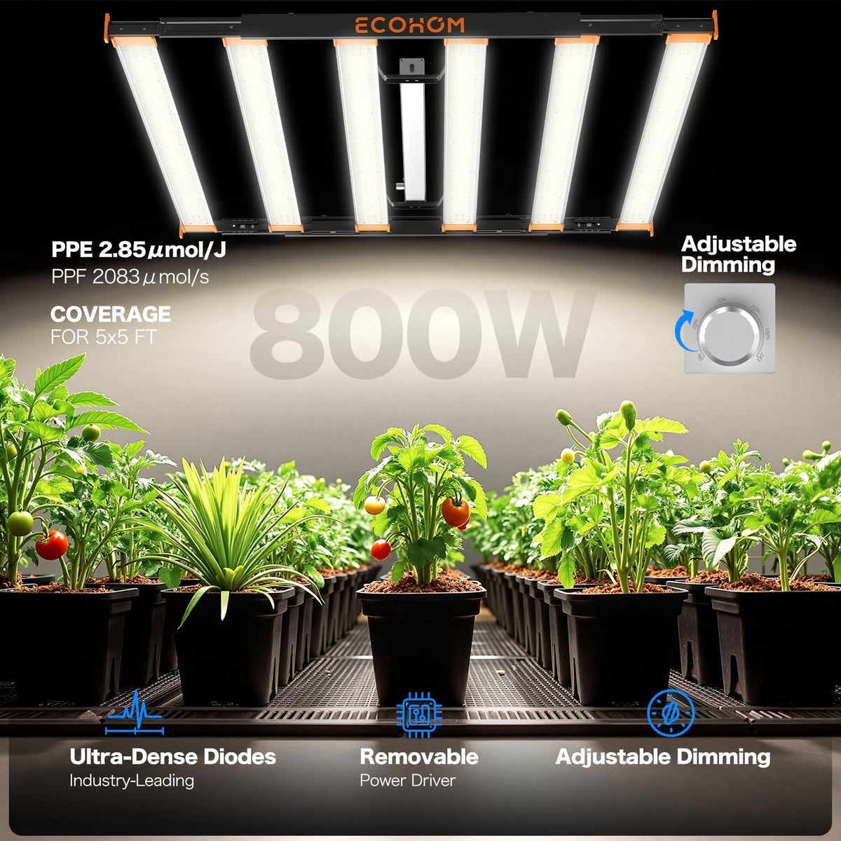 ECOHOM Bar 800W LED grow light dimmable control enables precise light levels.