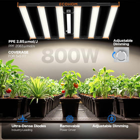ECOHOM Bar 800W LED grow light dimmable control enables precise light levels.