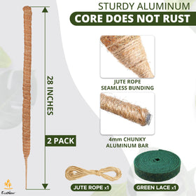 EcoNour coir plant sticks provide sturdy indoor climbing support for pothos.