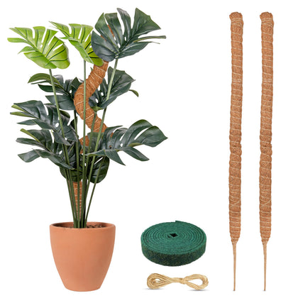 EcoNour moss pole 28-inch Monstera support enables vertical growth and moisture-friendly roots.