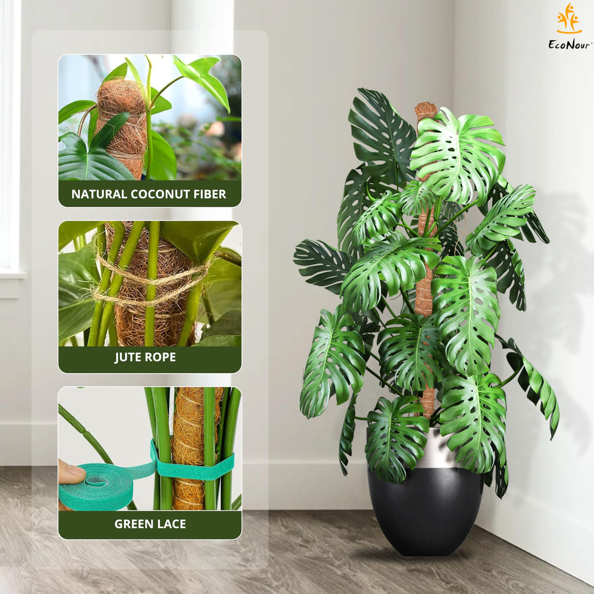 EcoNour moss pole helps Philodendron reach new heights with natural fiber texture.