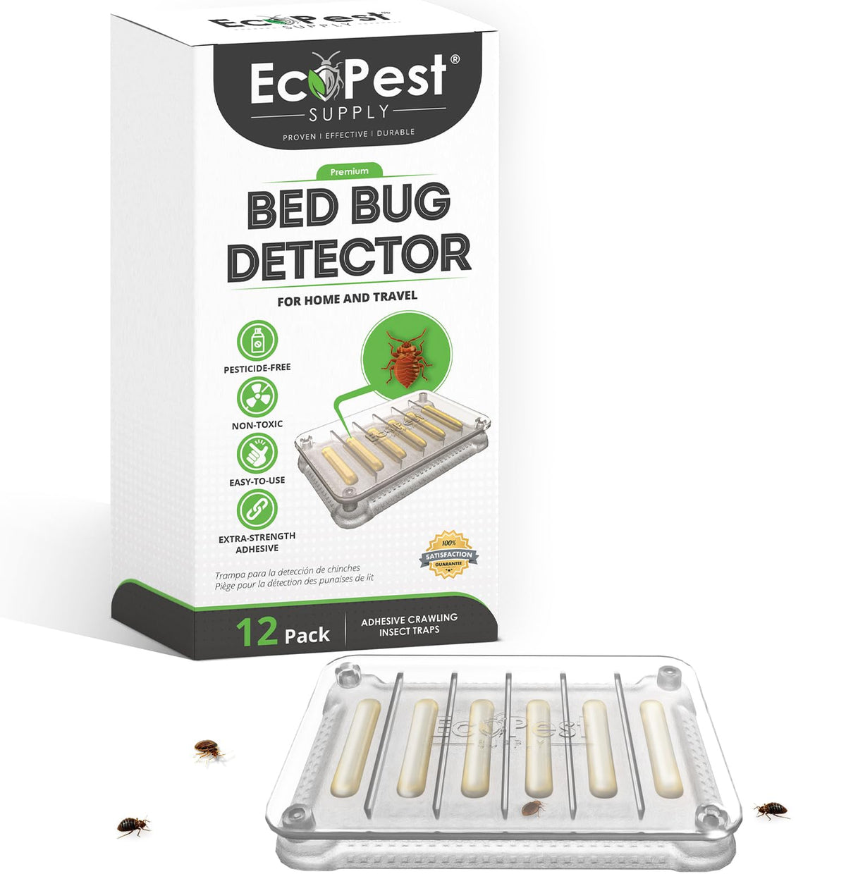 EcoPest Bed Bug Detector 12-pack box ready for immediate home monitoring.