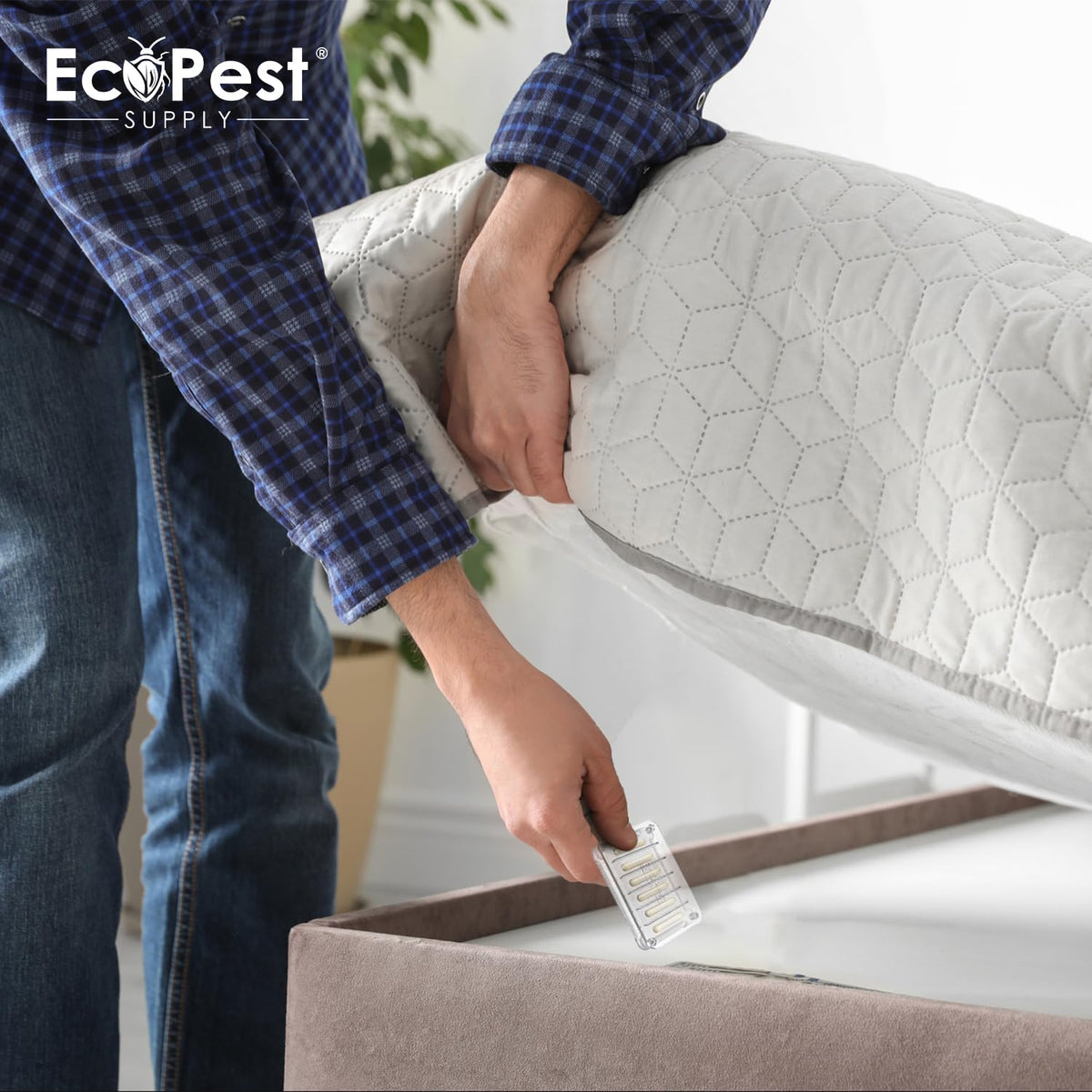 EcoPest Bed Bug Detector placed in a bedroom for ongoing monitoring.