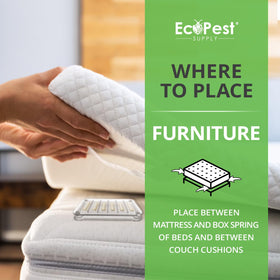 EcoPest Bed Bug Detector tucked into a couch cushion for hidden monitoring.
