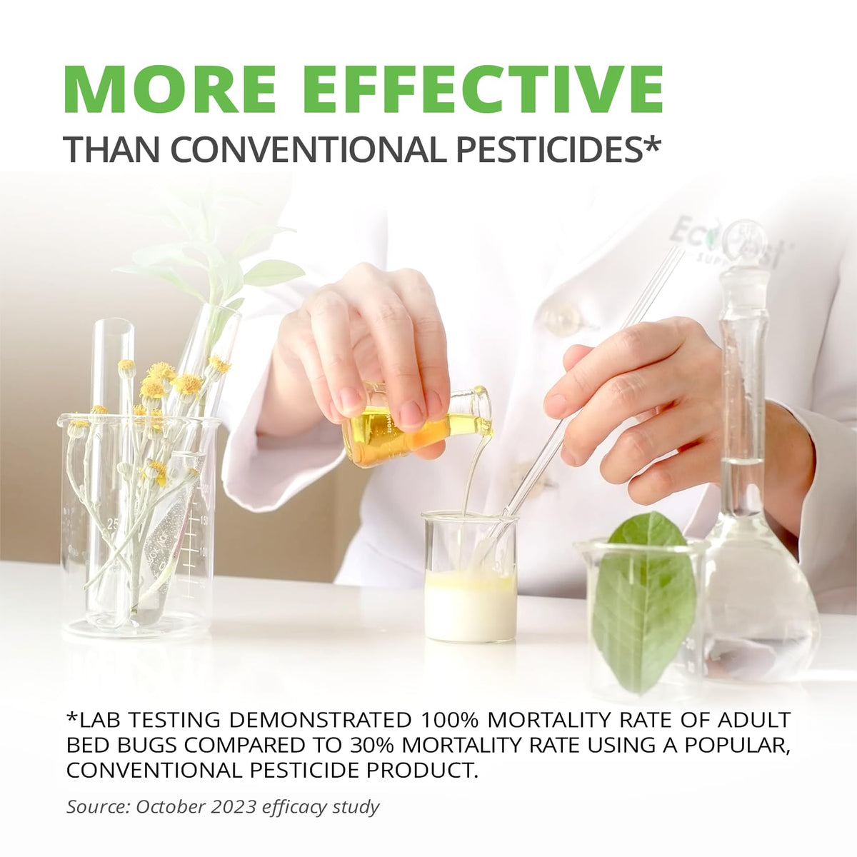 ECOPEST Bed Mattress treatment targets hidden bed bugs with fumigation