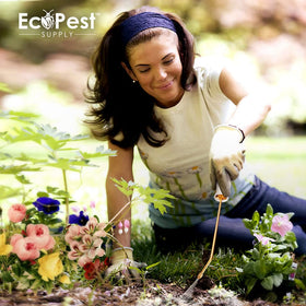 ECOPEST Powder Duster for pest control application and spread