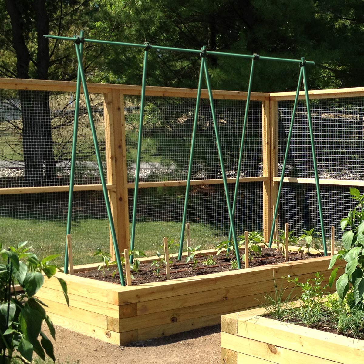EcoStake color-varieties option keeps garden beds organized and visible.