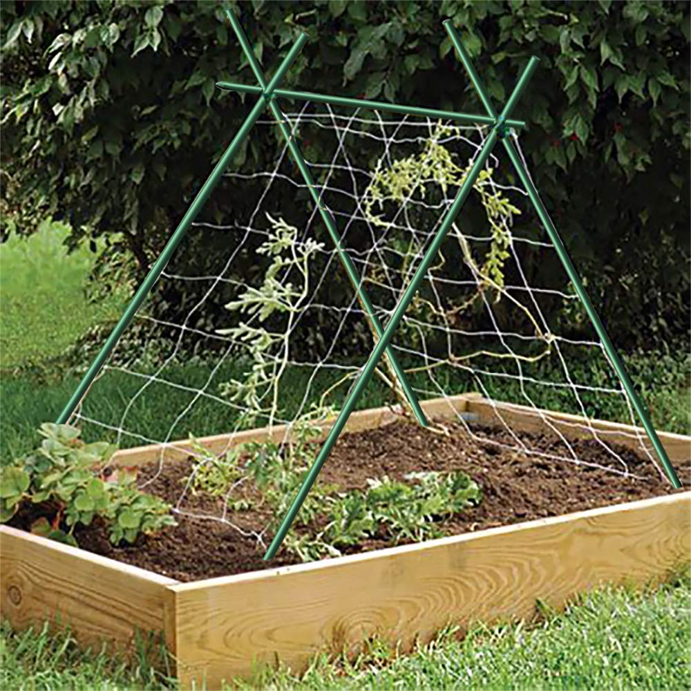 EcoStake cucumber-stake-tree-support helps vines climb and stay upright.