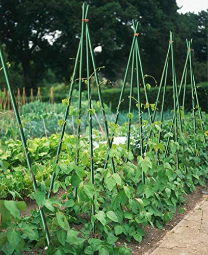 EcoStake rustproof fiberglass stake resists corrosion for long-lasting use.