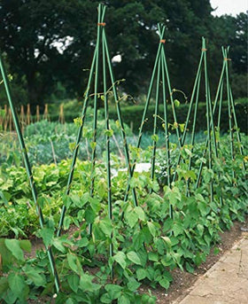 EcoStake rustproof fiberglass stake resists corrosion for long-lasting use.