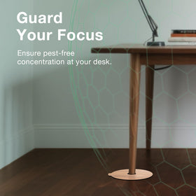 EcoVenger bed bug traps clear design under furniture blends with floors.
