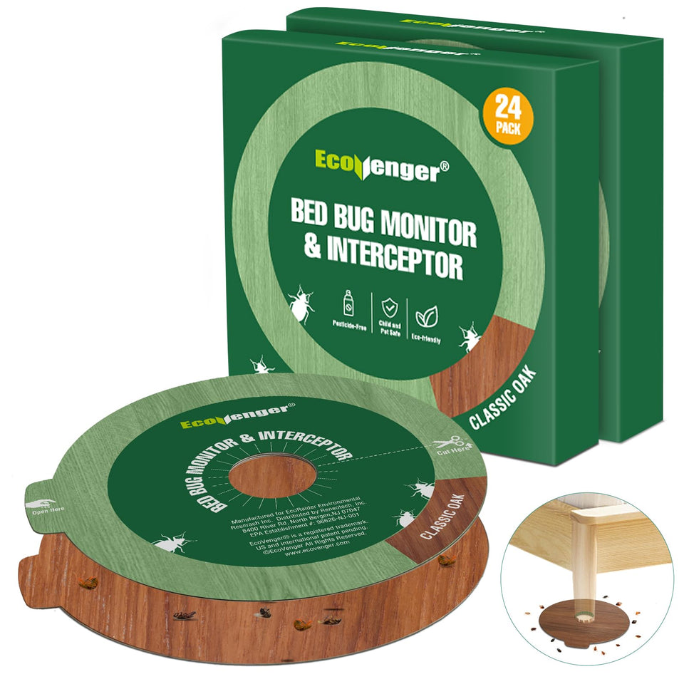 EcoVenger bed bug traps discreet plate blends with furniture legs for hidden monitoring.
