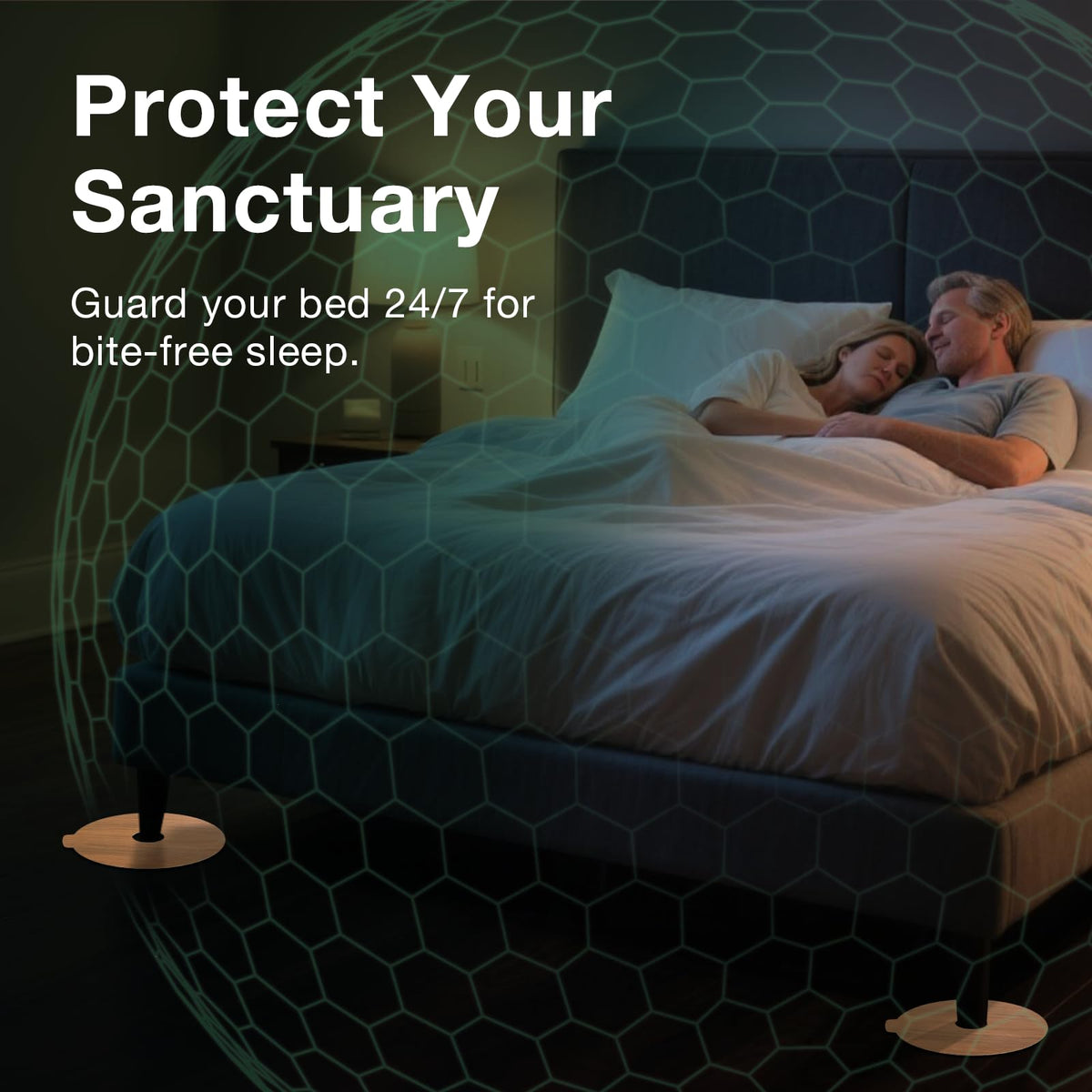 EcoVenger bed bug traps futon-leg coverage illustrates quick placement.