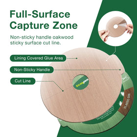 EcoVenger bed bug traps glue-trap closeup with strong adhesive capture.