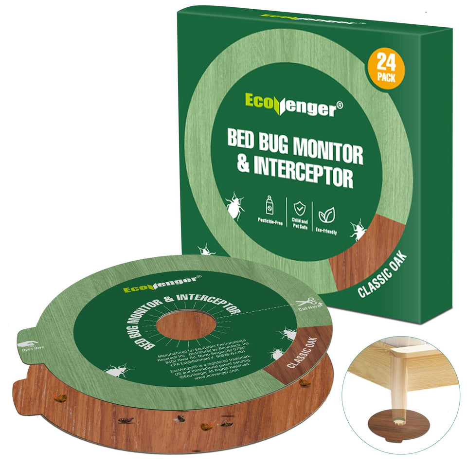 EcoVenger bed bug traps under furniture leg for discreet monitoring.