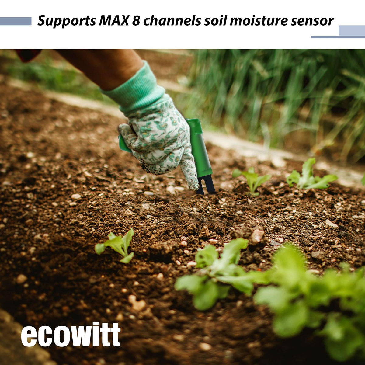 ECOWITT WH0291 compact handheld unit with two AA batteries for setup