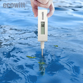 ECOWITT WN34BL gateway compatibility enables live data via WSView App.