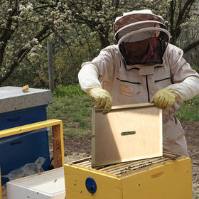 ECRIZA beehive inner cover compatible with standard hive setups