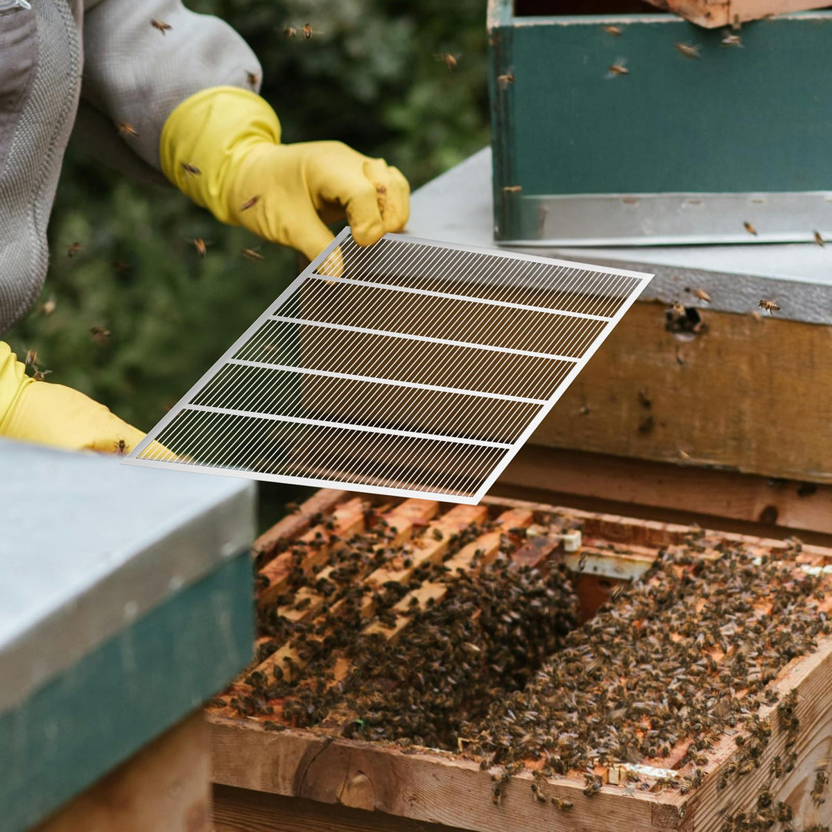 ECRIZA steel build conveys durability and rust resistance for long-term beekeeping.